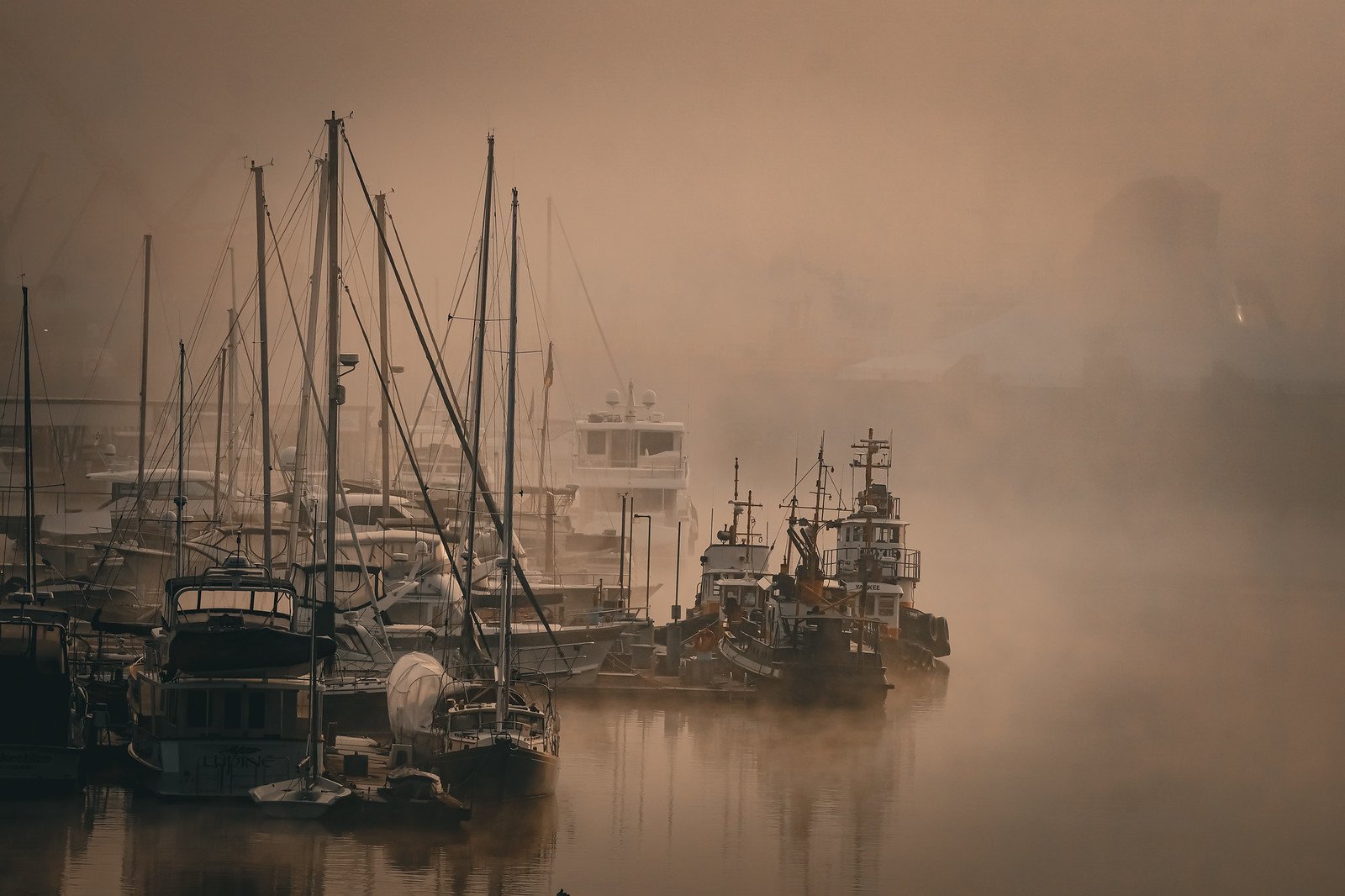 Sailboats and tugboats in fog at a Pacific Northwest harbor
