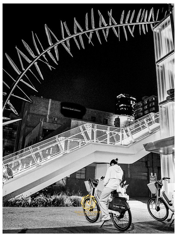 Black-and-white night scene with bicycles under an overpass